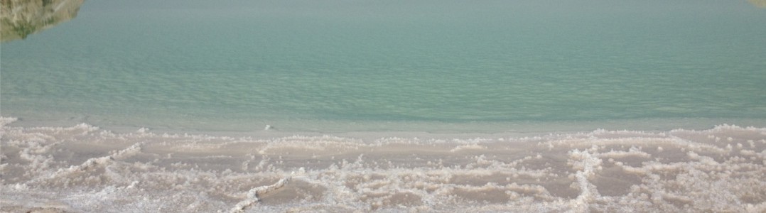 Der Salzstrand Vom Toten Meer mit Blick aufs Wasser